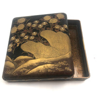 Stunning, Very Fine Antique Japanese Lacquer Writing Box with Inlaid Pearls