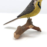 Charming Early 20th C Western Meadowlark on Branch by Charles Weddle