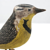 Charming Early 20th C Western Meadowlark on Branch by Charles Weddle
