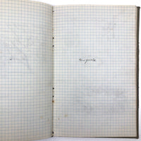 Harry Nielson's 1917-19 Biology & Hygiene Notebooks with Tons of Diagrams