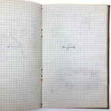 Harry Nielson's 1917-19 Biology & Hygiene Notebooks with Tons of Diagrams