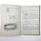 Harry Nielson's 1917-19 Biology & Hygiene Notebooks with Tons of Diagrams