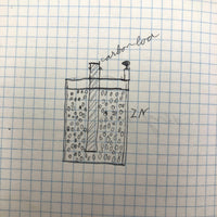 Harry Nielson's 1917-19 Biology & Hygiene Notebooks with Tons of Diagrams