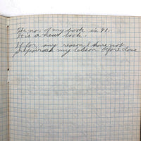 Harry Nielson's 1917-19 Biology & Hygiene Notebooks with Tons of Diagrams