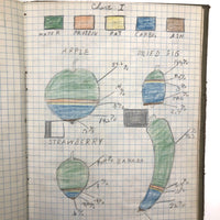 Harry Nielson's 1917-19 Biology & Hygiene Notebooks with Tons of Diagrams