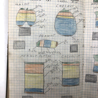 Harry Nielson's 1917-19 Biology & Hygiene Notebooks with Tons of Diagrams