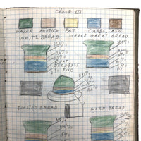 Harry Nielson's 1917-19 Biology & Hygiene Notebooks with Tons of Diagrams