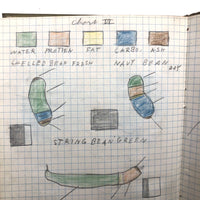 Harry Nielson's 1917-19 Biology & Hygiene Notebooks with Tons of Diagrams