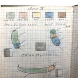 Harry Nielson's 1917-19 Biology & Hygiene Notebooks with Tons of Diagrams