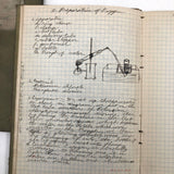 Harry Nielson's 1917-19 Biology & Hygiene Notebooks with Tons of Diagrams