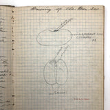 Harry Nielson's 1917-19 Biology & Hygiene Notebooks with Tons of Diagrams