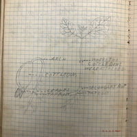 Harry Nielson's 1917-19 Biology & Hygiene Notebooks with Tons of Diagrams