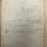 Harry Nielson's 1917-19 Biology & Hygiene Notebooks with Tons of Diagrams