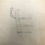 Harry Nielson's 1917-19 Biology & Hygiene Notebooks with Tons of Diagrams