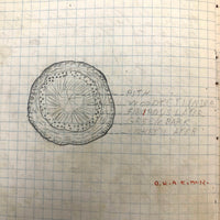 Harry Nielson's 1917-19 Biology & Hygiene Notebooks with Tons of Diagrams