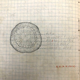 Harry Nielson's 1917-19 Biology & Hygiene Notebooks with Tons of Diagrams