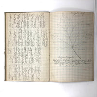 Harry Nielson's 1917-19 Biology & Hygiene Notebooks with Tons of Diagrams