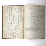 Harry Nielson's 1917-19 Biology & Hygiene Notebooks with Tons of Diagrams