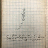 Harry Nielson's 1917-19 Biology & Hygiene Notebooks with Tons of Diagrams