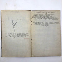 Harry Nielson's 1917-19 Biology & Hygiene Notebooks with Tons of Diagrams