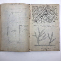 Harry Nielson's 1917-19 Biology & Hygiene Notebooks with Tons of Diagrams