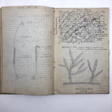 Harry Nielson's 1917-19 Biology & Hygiene Notebooks with Tons of Diagrams