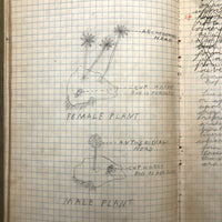 Harry Nielson's 1917-19 Biology & Hygiene Notebooks with Tons of Diagrams