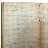 Harry Nielson's 1917-19 Biology & Hygiene Notebooks with Tons of Diagrams