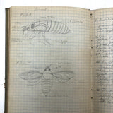 Harry Nielson's 1917-19 Biology & Hygiene Notebooks with Tons of Diagrams
