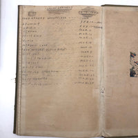 Harry Nielson's 1917-19 Biology & Hygiene Notebooks with Tons of Diagrams