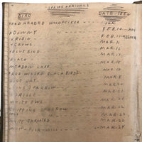 Harry Nielson's 1917-19 Biology & Hygiene Notebooks with Tons of Diagrams