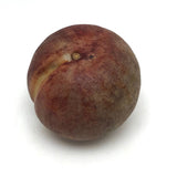 Stone Fruit Ripe Pear and Ripening Plum with Great Color - Sold Individually