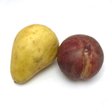 Stone Fruit Ripe Pear and Ripening Plum with Great Color - Sold Individually