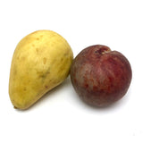 Stone Fruit Ripe Pear and Ripening Plum with Great Color - Sold Individually