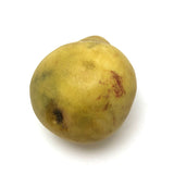 Stone Fruit Ripe Pear and Ripening Plum with Great Color - Sold Individually