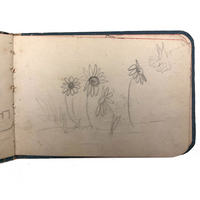 Milly Nash's Tiny and Marvelous Book of Drawings