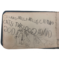 Milly Nash's Tiny and Marvelous Book of Drawings