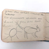 Milly Nash's Tiny and Marvelous Book of Drawings