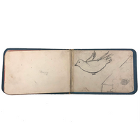 Milly Nash's Tiny and Marvelous Book of Drawings