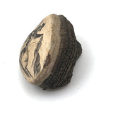 Disappointed Goldminer on Tree Conk, Signed Palmer