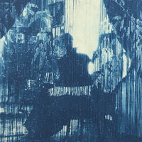 Woman in Parlor Behind Beaded Curtain, 1909 British Cyanotype