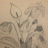 19th C. Double-Sided Naive Graphite & Crayon Drawing: Giant Baby Boy, Flowers