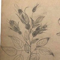19th C. Double-Sided Naive Graphite & Crayon Drawing: Giant Baby Boy, Flowers
