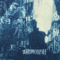 Woman in Parlor Behind Beaded Curtain, 1909 British Cyanotype