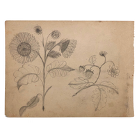 19th C. Double-Sided Naive Graphite & Crayon Drawing: Blue Bonnet, Sunflowers, Strawberries