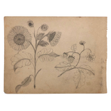 19th C. Double-Sided Naive Graphite & Crayon Drawing: Blue Bonnet, Sunflowers, Strawberries