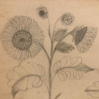 19th C. Double-Sided Naive Graphite & Crayon Drawing: Blue Bonnet, Sunflowers, Strawberries