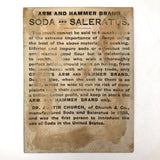 Arm and Hammer Salerutus Gorgeous Late 19th C Trade Card