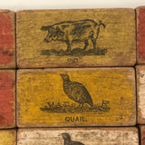 Set of 20 Beautiful 19th C. Milton Bradley Alphabet / Animal Blocks