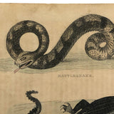 Rattlesnake and Crocodile Antique Bookplate